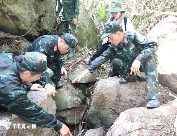 Đà Nẵng: Hoàn thành lấy mẫu sinh phẩm hơn 26.000 phần mộ liệt sỹ trước mùa mưa