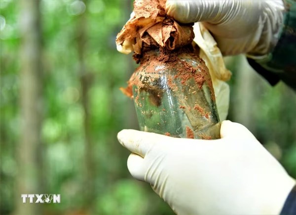 Đẩy mạnh tìm kiếm, quy tập hài cốt liệt sỹ và nâng cao năng lực giám định ADN