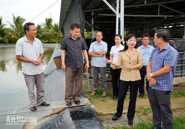 An Giang: Chủ tịch Ủy ban MTTQ Việt Nam tỉnh khảo sát các mô hình nông nghiệp hiệu quả
