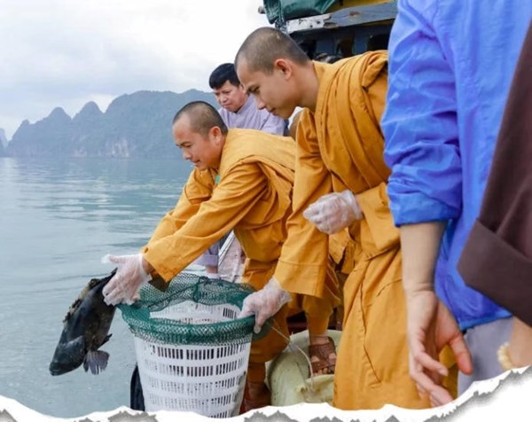 Giáo hội Phật giáo Việt Nam đề nghị không thu gom động vật để phóng sinh mùa Vu Lan
