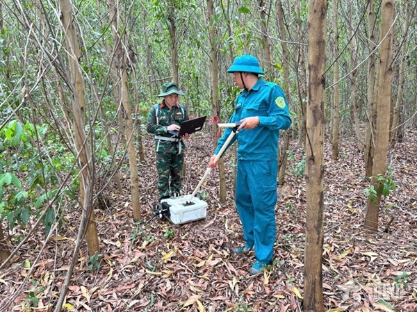 Hỗ trợ tìm kiếm hài cốt liệt sĩ bằng công nghệ radar xuyên đất tại Gia Lai