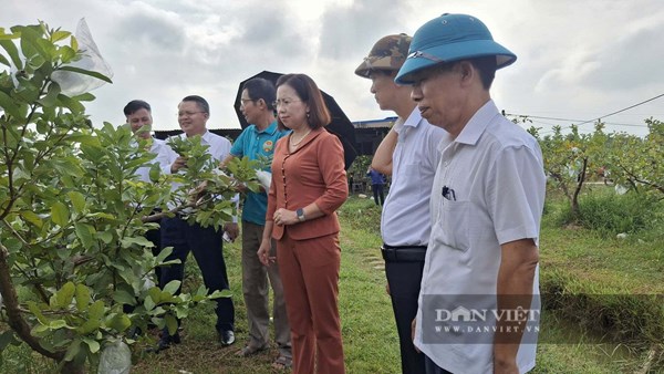Trung ương Hội Nông dân Việt Nam kiểm tra công tác Hội và phong trào nông dân tại Hải Phòng