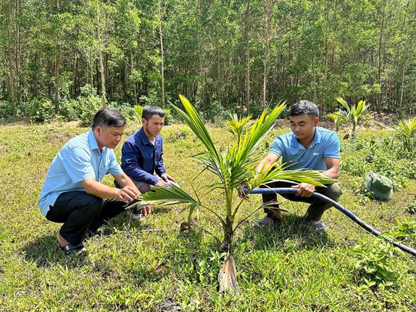 Gia Lai tạo sinh kế cho đồng bào vùng dân tộc thiểu số