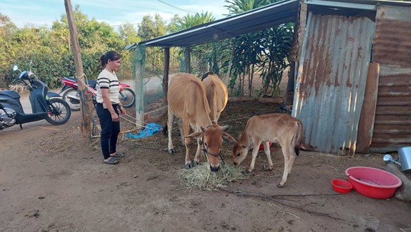 Gia Lai: Kon Gang tạo đòn bẩy giúp người dân thoát nghèo