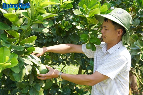 Quảng Ngãi: Thay đổi nếp nghĩ, cách làm trong đồng bào dân tộc thiểu số