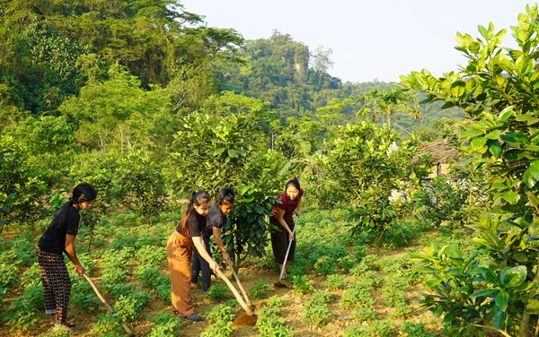 Quảng Trị: Nữ trưởng ban công tác Mặt trận tận tụy, gương mẫu