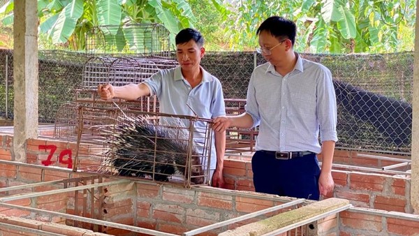 Lan tỏa sức mạnh đoàn kết trong xây dựng nông thôn mới, đô thị văn minh ở tỉnh Lào Cai