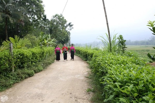 Thanh Hóa: Gìn giữ “không gian xanh” trong xây dựng nông thông mới