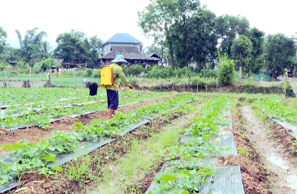 Phát huy vai trò của người uy tín trong phát triển KT-XH vùng đồng bào DTTS ở tỉnh Lai Châu