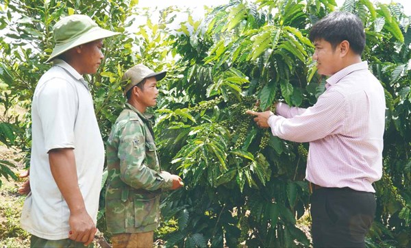 Quảng Ngãi: Khơi dậy sức dân trong xây dựng nông thôn mới