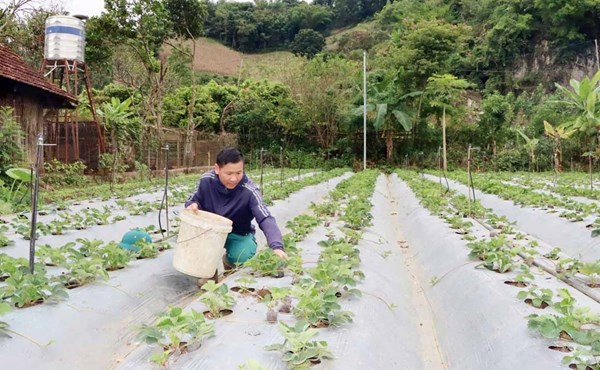 Khởi sắc từ khi thực hiện Chương trình phát triển kinh tế - xã hội vùng đồng bào dân tộc thiểu số, miền núi giai đoạn 2021-2025 ở xã Tà Hộc