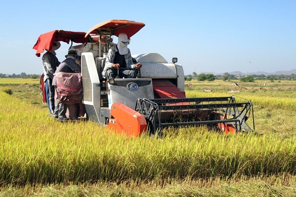 Sức mạnh đoàn kết từ cộng đồng DTTS ở Hàm Thuận Bắc