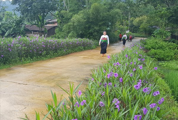 Thanh Hóa: Phát huy vai trò của MTTQ trong xây dựng nông thôn mới
