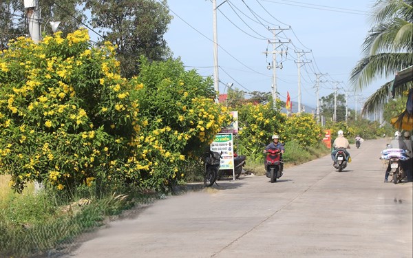 Nông thôn rực rỡ nhờ những tuyến đường hoa