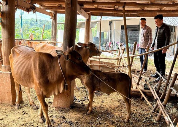 Hiệu quả từ Chương trình Mục tiêu quốc gia phát triển kinh tế - xã hội vùng đồng bào dân tộc thiểu số và miền núi ở xã Mường Khiêng