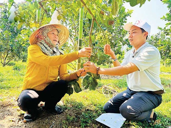 Mở hướng thoát nghèo cho đồng bào dân tộc thiếu số ở Quảng Ngãi