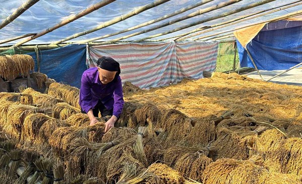 Xã Chợ Đồn đổi thay từ Chương trình 1719 