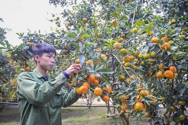 Thanh Hóa: Phát triển bền vững vùng đồng bào dân tộc thiểu số và miền núi