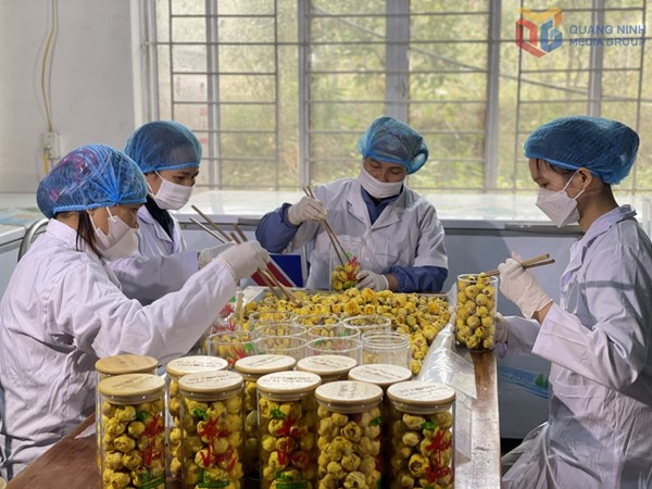 Nòng cốt trong các phong trào thi đua xây dựng nông thôn mới