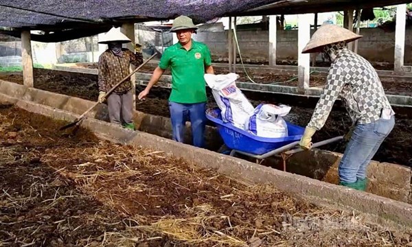 Giảm thiểu ô nhiễm từ chăn nuôi tuần hoàn