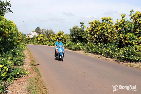 Đồng Nai: Xây dựng vùng nông thôn đáng sống