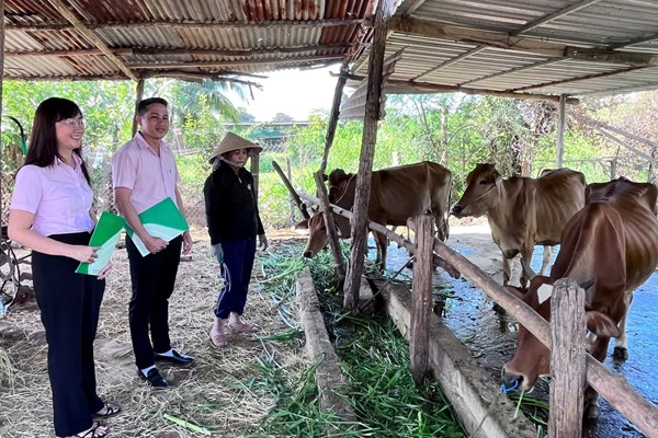 Lâm Đồng: Phát triển kinh tế vùng đồng bào dân tộc thiểu số từ cách trao “cần câu”