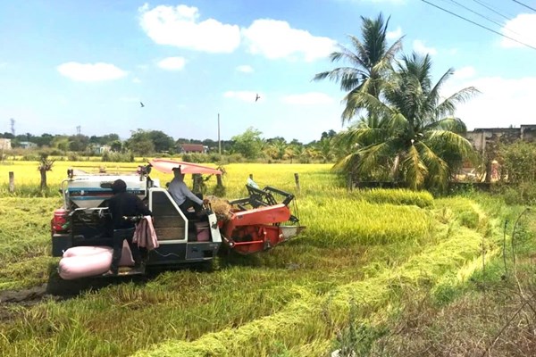 Lâm Đồng: Phát triển sản xuất gắn với xây dựng nông thôn mới