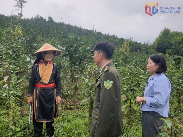 Quảng Ninh: Động lực phát triển kinh tế - xã hội vùng đồng bào dân tộc thiểu số 