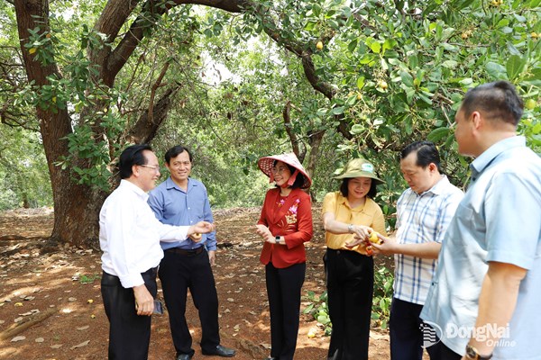 Xã Đồng Tâm, tỉnh Đồng Nai xây dựng nông thôn mới gắn với nông nghiệp bền vững