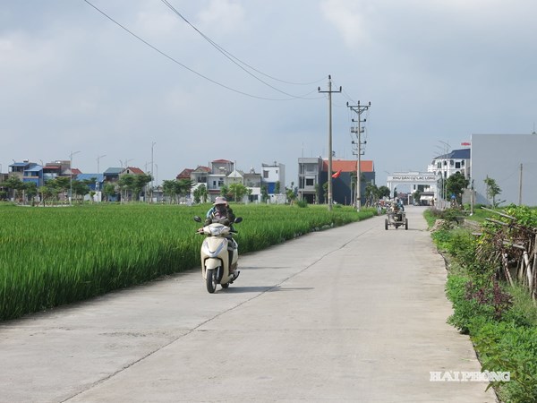 Hải Phòng: Nông thôn mới hướng tới hiện đại, bền vững
