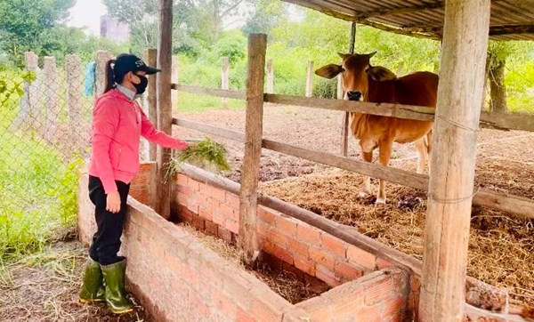 Lâm Đồng: Xã Sông Lũy tạo sinh kế bền vững cho đồng bào dân tộc thiểu số 