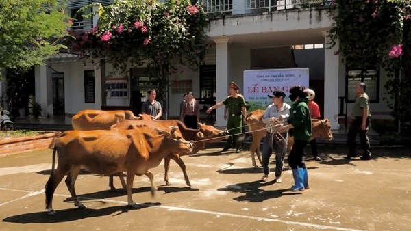Lâm Đồng: Trao sinh kế, gieo niềm tin thoát nghèo cho đồng bào dân tộc