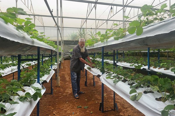 Nông nghiệp số mở hướng sinh kế mới cho đồng bào dân tộc thiểu số 