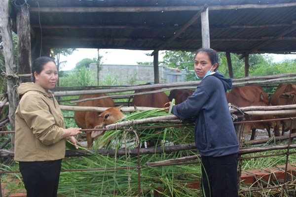 Lâm Đồng: Thoát nghèo nhờ vốn tín dụng chính sách