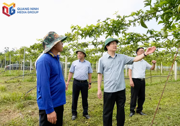 Quảng Ninh: Tập hợp sức dân từ những mô hình thiết thực