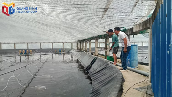 Khơi dậy sức dân trong xây dựng nông thôn mới hiện đại