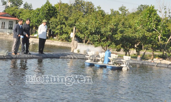 Phong trào thi đua “Tuổi cao - Gương sáng” ở xã Quang Hưng 