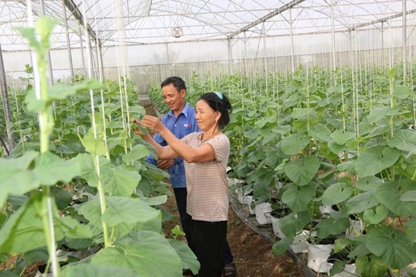 Mặt trận Tổ quốc xã Thiệu Tiến, tỉnh Thanh Hóa phát huy hiệu quả các phong trào thi đua yêu nước