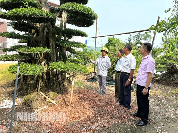Ninh Bình triển khai phong trào “Gửi tiền tiết kiệm chung tay vì người nghèo”